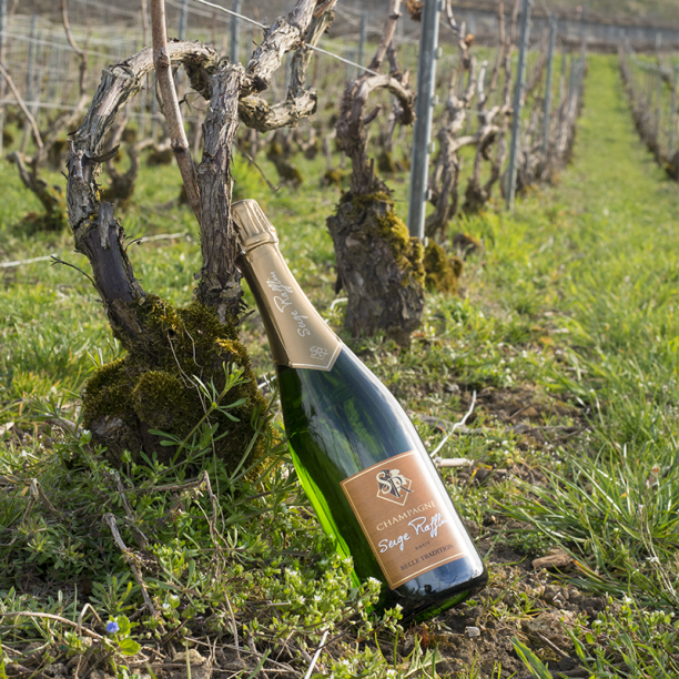 Champagne Serge Rafflin Belle Tradition Brut Champagne Serge Rafflin Belle Tradition Brut