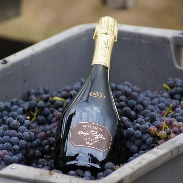 Champagne Serge Rafflin Prestige Millésimé 2013 Brut Champagne Serge Rafflin Prestige Millésimé 2013 Brut