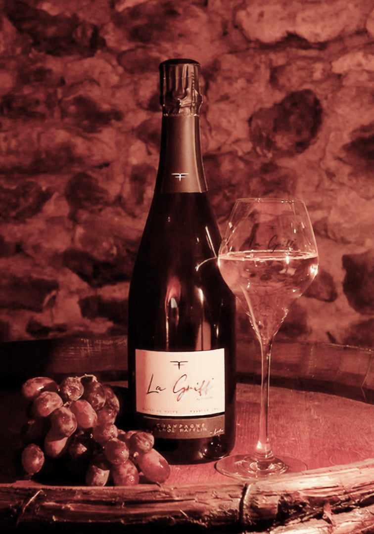 Blanc de Noirs 2019 - Extra-Brut